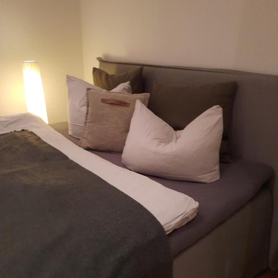 Business-Lodging Apartmenthaus Höhr-Grenzhausen Eksteriør bilde